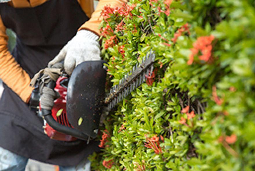 Gebäudemanagement Czaronek in Rodgau - Gebäudereinigung - Gartenpflege